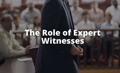 The Role of Expert Convergence 的图像结果